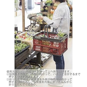 Seiwacraftダークレッド 16引き出し Amazon｜カインズ(CAINZ) 折りたたみコンテナ 20×30×16cm レッド